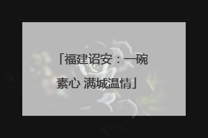 福建诏安：一碗素心 满城温情