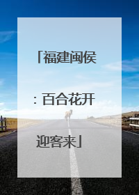 福建闽侯：百合花开迎客来