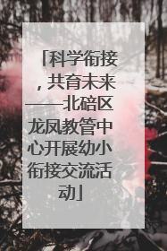 科学衔接，共育未来——北碚区龙凤教管中心开展幼小衔接交流活动