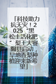 科技助力抗天灾！2025“黑松土活化肥”梨王大赛隰县启动，旱地香梨种植迎来新希望