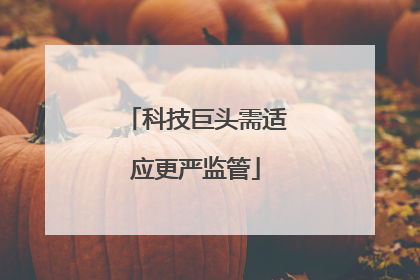 科技巨头需适应更严监管