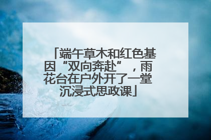 端午草木和红色基因“双向奔赴”，雨花台在户外开了一堂沉浸式思政课