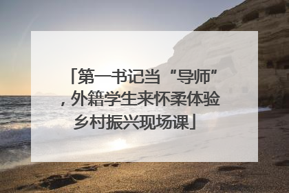 第一书记当“导师”，外籍学生来怀柔体验乡村振兴现场课