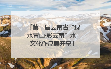 第一届云南省“绿水青山·彩云南”水文化作品展开幕