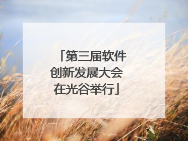第三届软件创新发展大会在光谷举行