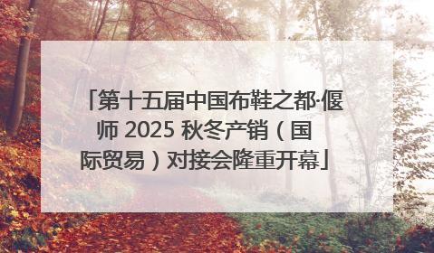 第十五届中国布鞋之都·偃师 2025 秋冬产销（国际贸易）对接会隆重开幕