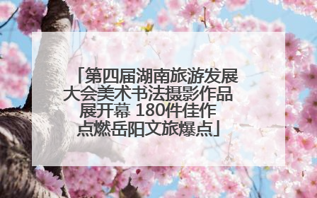 第四届湖南旅游发展大会美术书法摄影作品展开幕 180件佳作点燃岳阳文旅爆点