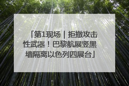 第1现场｜拒撤攻击性武器！巴黎航展竖黑墙隔离以色列四展台
