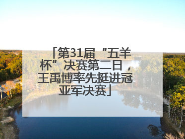 第31届“五羊杯”决赛第二日，王禹博率先挺进冠亚军决赛