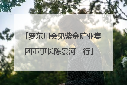 罗东川会见紫金矿业集团董事长陈景河一行