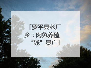 罗平县老厂乡：肉兔养殖“钱”景广