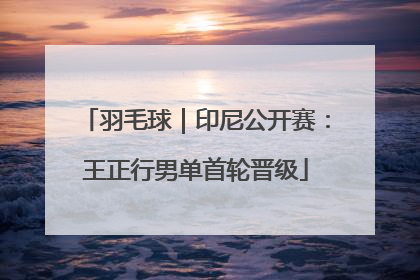 羽毛球｜印尼公开赛：王正行男单首轮晋级