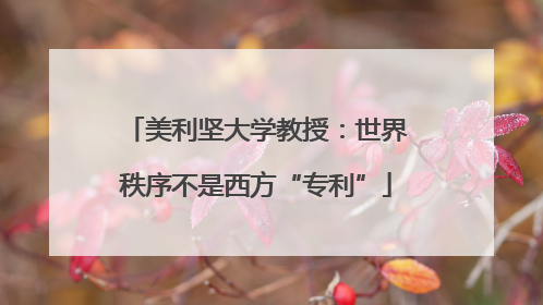 美利坚大学教授：世界秩序不是西方“专利”