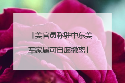 美官员称驻中东美军家属可自愿撤离