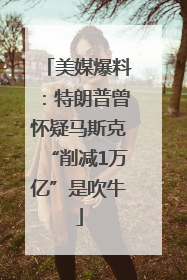 美媒爆料：特朗普曾怀疑马斯克“削减1万亿”是吹牛