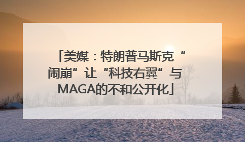 美媒：特朗普马斯克“闹崩”让“科技右翼”与MAGA的不和公开化