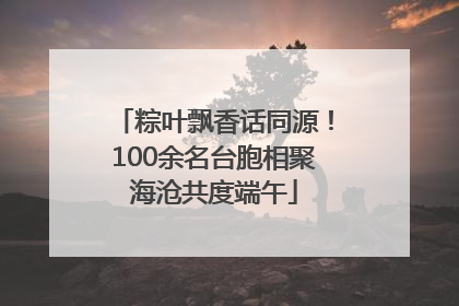 粽叶飘香话同源！100余名台胞相聚海沧共度端午
