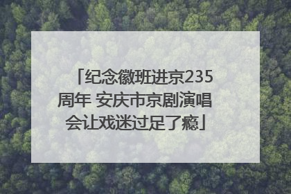 纪念徽班进京235周年 安庆市京剧演唱会让戏迷过足了瘾