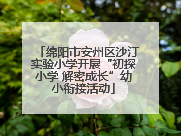 绵阳市安州区沙汀实验小学开展“初探小学 解密成长”幼小衔接活动
