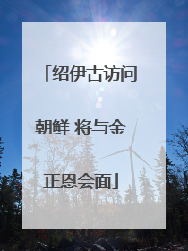 绍伊古访问朝鲜 将与金正恩会面