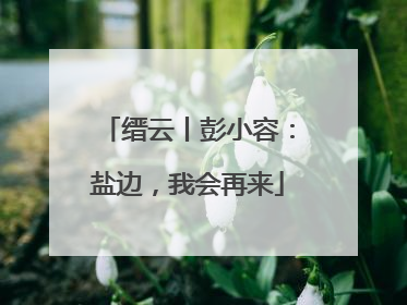 缙云丨彭小容：盐边，我会再来