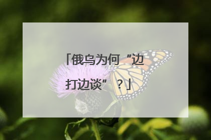 俄乌为何“边打边谈”？