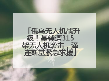 俄乌无人机战升级！基辅遭315架无人机袭击，泽连斯基紧急求援