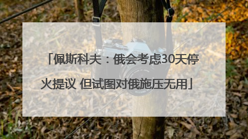 佩斯科夫：俄会考虑30天停火提议 但试图对俄施压无用