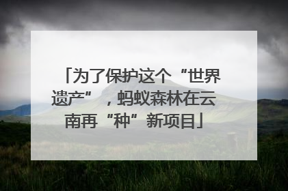 为了保护这个“世界遗产”，蚂蚁森林在云南再“种”新项目