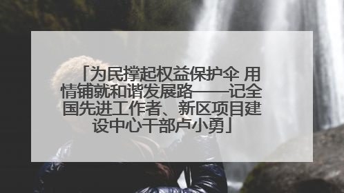 为民撑起权益保护伞 用情铺就和谐发展路——记全国先进工作者、新区项目建设中心干部卢小勇