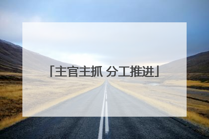 主官主抓 分工推进