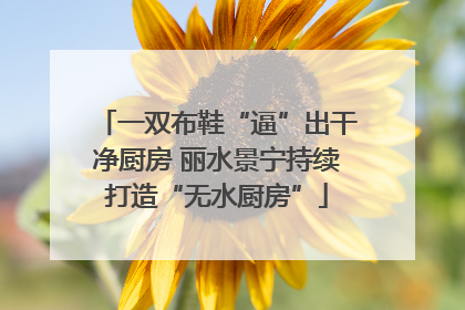 一双布鞋“逼”出干净厨房 丽水景宁持续打造“无水厨房”