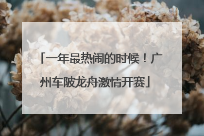 一年最热闹的时候！广州车陂龙舟激情开赛