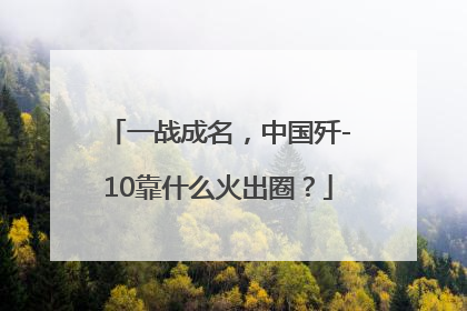 一战成名，中国歼-10靠什么火出圈？