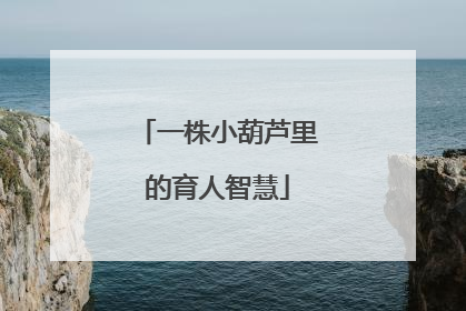 一株小葫芦里的育人智慧
