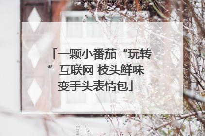 一颗小番茄“玩转”互联网 枝头鲜味变手头表情包