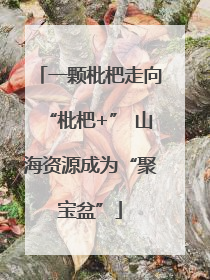 一颗枇杷走向“枇杷+” 山海资源成为“聚宝盆”