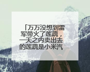 万万没想到雷军带火了莲藕，一天之内卖出去的莲藕是小米汽车的22倍