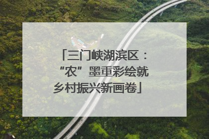 三门峡湖滨区：“农”墨重彩绘就乡村振兴新画卷