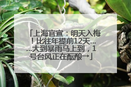 上海官宣：明天入梅！比往年提前12天……大到暴雨马上到，1号台风正在酝酿→