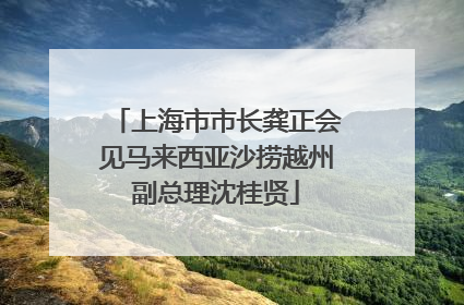 上海市市长龚正会见马来西亚沙捞越州副总理沈桂贤