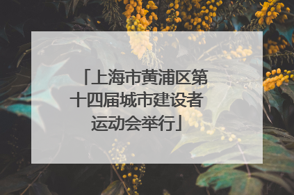 上海市黄浦区第十四届城市建设者运动会举行