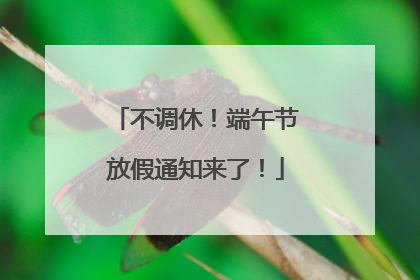 不调休！端午节放假通知来了！