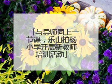 与导师同上一节课，乐山柏杨小学开展新教师培训活动