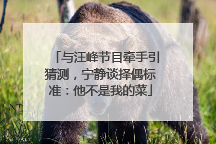 与汪峰节目牵手引猜测，宁静谈择偶标准：他不是我的菜