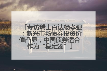 专访瑞士百达杨孝强：新兴市场债券投资价值凸显，中国债券适合作为“稳定器”