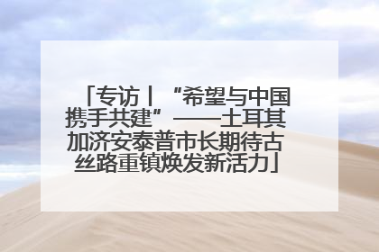 专访丨“希望与中国携手共建”——土耳其加济安泰普市长期待古丝路重镇焕发新活力