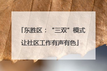 东胜区：“三双”模式让社区工作有声有色