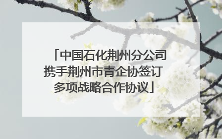 中国石化荆州分公司携手荆州市青企协签订多项战略合作协议