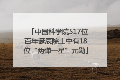 中国科学院517位百年诞辰院士中有18位“两弹一星”元勋